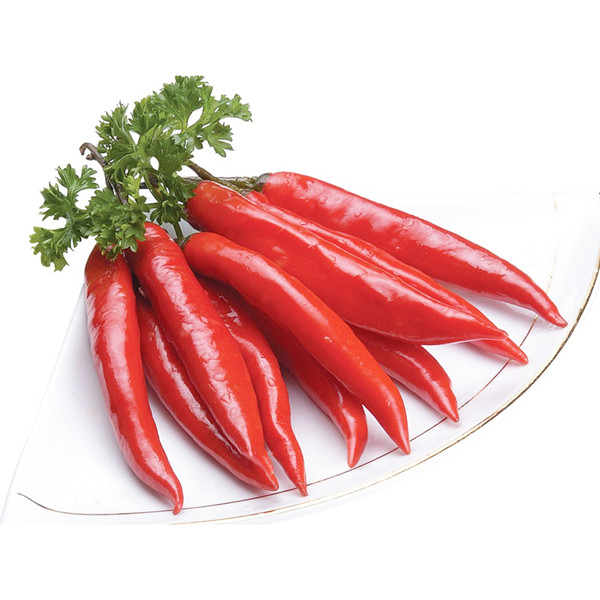 食堂承包餐飲公司，使事情更有服從