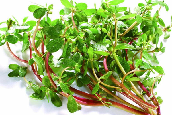 食堂承包餐飲服務(wù)管理為員工發(fā)展提供美味的食物，可以增加員工的社會福利